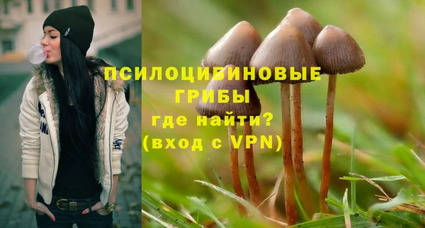 ALPHA-PVP Кукмор