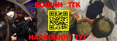 дмт Аргун