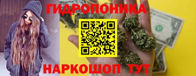 дмт Аргун