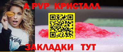 дмт Аргун