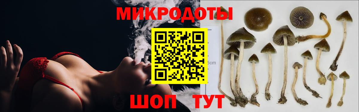 Псилоцибиновые грибы ЛСД  Псилоцибиновые грибы Psilocybine cubensis  Энгельс 