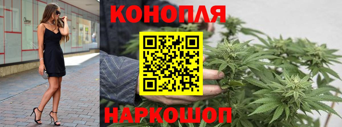 Шишки марихуана марихуана  Энгельс  МАРИХУАНА Ganja  Конопля Ganja  Канабис конопля 